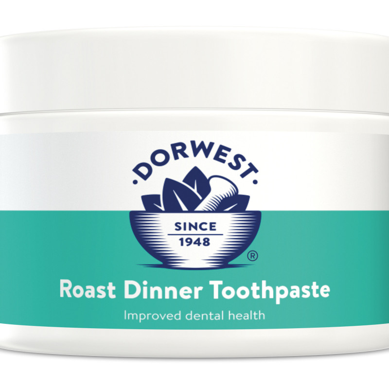 Dorwest Roast Dinner Toothpaste