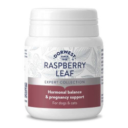 Dorwest Raspberry Leaf tabletter