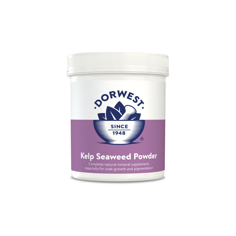 Dorwest Kelp Seaweed powder 250g