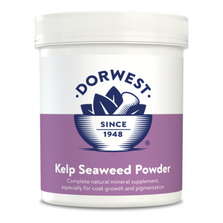 Dorwest Kelp Seaweed powder 250g