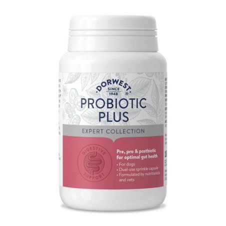 Dorwest Probiotic Plus